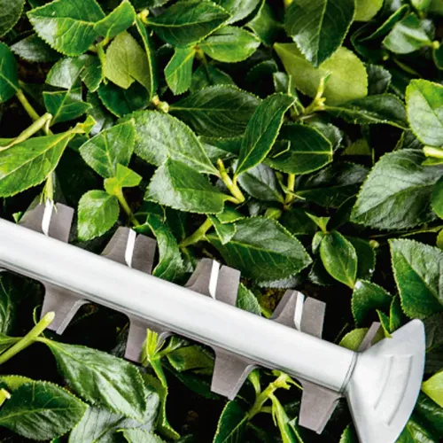 Bosch AdvancedHedgeCut 70 кусторез электрический, 06008C0903