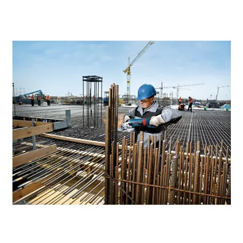 Bosch GWS 24-230 LVI Professional болгарка, 0601893F00