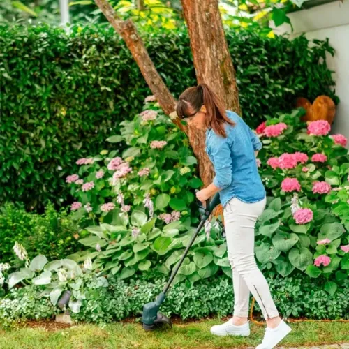 Bosch EasyGrassCut 26 триммер электрический, 06008C1J00